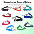 Martingale Collar for Dogs with Stainless Steel Hardware