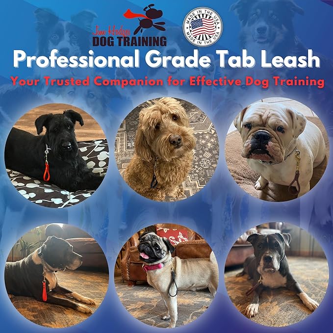 Professional-grade Biothane tab leash for dog training, trusted by trainers for effective off-leash control and obedience practice.