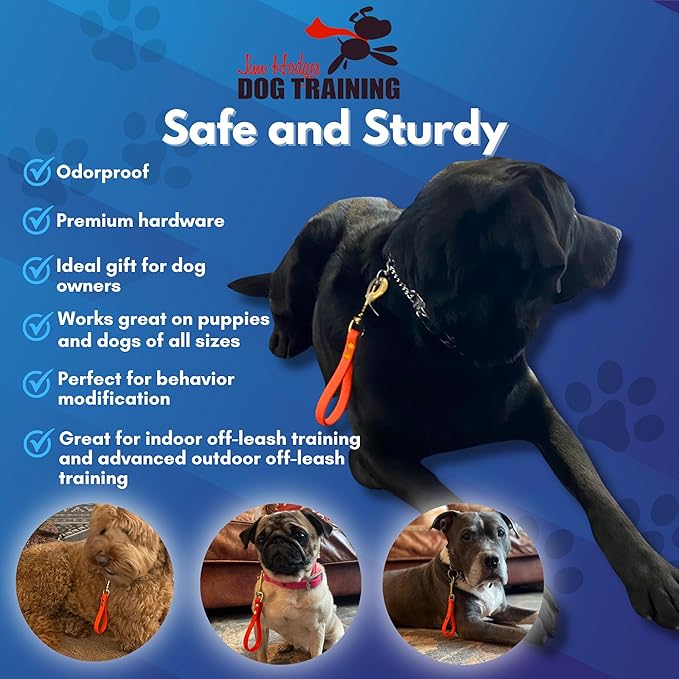 Safe and sturdy Biothane pull tab for dogs, odorproof and durable training tool for off-leash control and behavior modification.