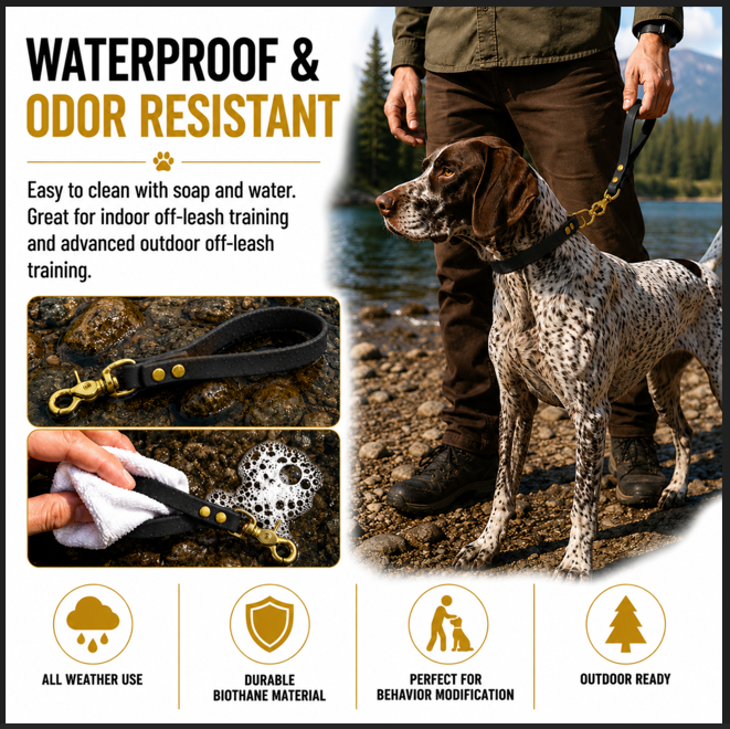 Waterproof and odor-resistant Biothane dog training tab with solid brass hardware for off-leash dog training and behavior modification. Durable black K9 training tab shown with German Shorthaired Pointer outdoors near water. Easy-to-clean Biothane material ideal for all-weather use, recall training, obedience training, hiking, and advanced outdoor dog handling. Made for professional trainers and active dog owners.