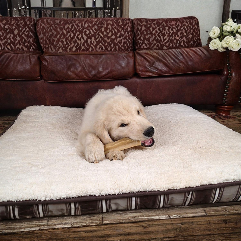 Dog enjoying Yak Snak Himalayan dog chew, 100% natural yak milk hard cheese treat.