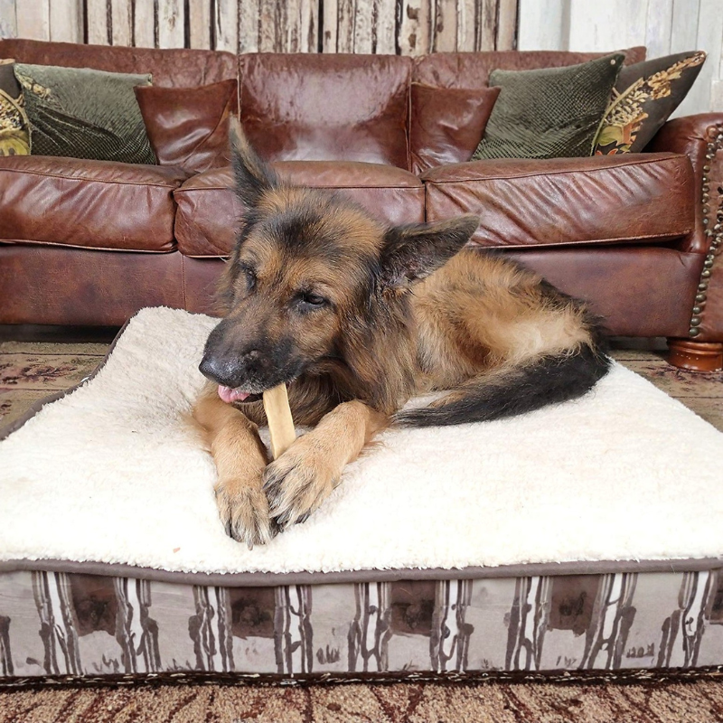 German Shepherd dog enjoying Yak Snak Himalayan dog chew made from 100% natural yak milk.